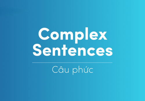 Câu phức - complex sentence là gì? Ví dụ, phân loại và cách dùng chi tiết